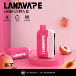 LANA16000口一次性拋棄式電子煙